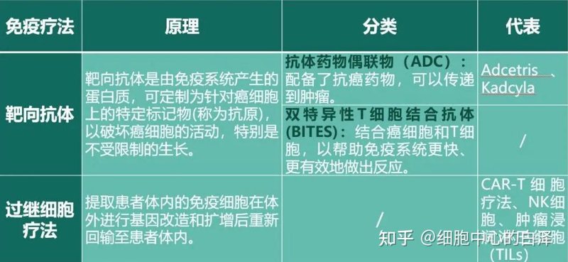 生物科技公司的创新之路:抓住未来风口