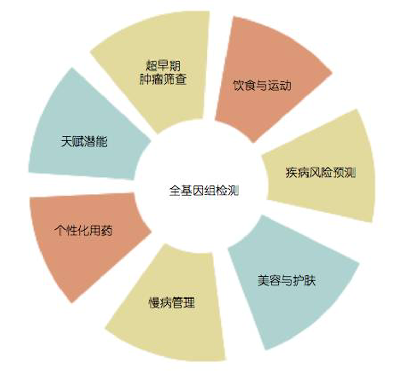 酶制剂行业动态:解锁生物技术的新篇章